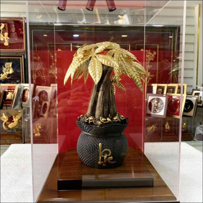 cây kim tiền mạ vàng