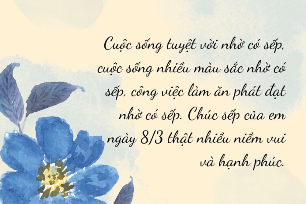 Lời chúc 8/3 cho sếp nữ