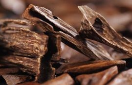 Khám Phá Tác Dụng Của Trầm Hương Trong Phong Thuỷ